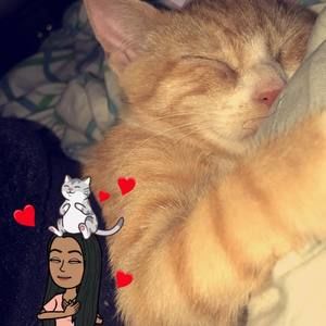 Meet your Posher, Atardecer